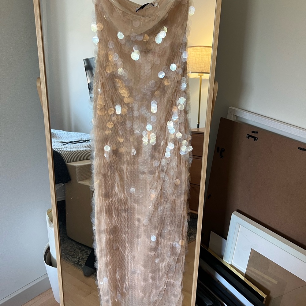 Zara Tan Sequin Backless Dress